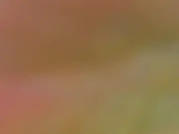 Chaturbate Best Webcam of sharonrodrigueez