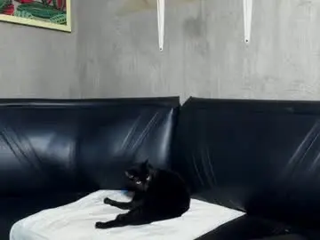 Chaturbate Live Sex of smitgrey