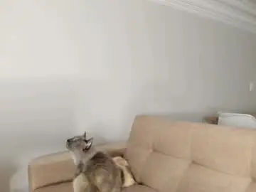 Chaturbate Watch Live Sex Cams of amanda_callum_