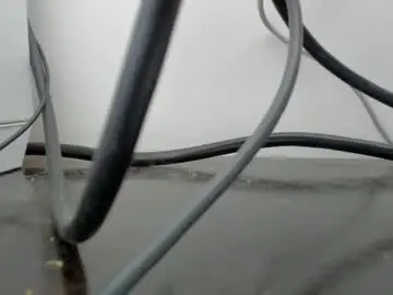 Chaturbate Adult Webcam of savagesweethearts