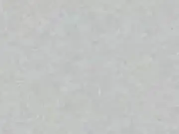 Chaturbate Live Porn of veronicamartin_