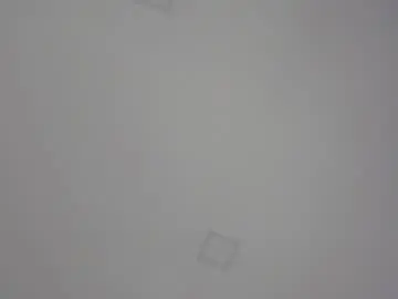 Chaturbate Adult Webcams of bylie_hills