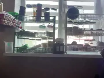 Chaturbate Sex Cam of laylawintz