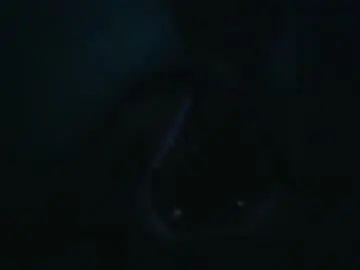 Chaturbate Sex Cam of queen_wow2