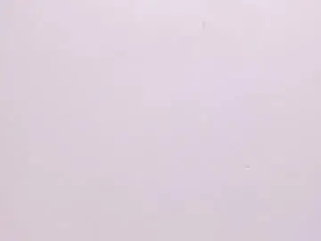 Chaturbate Nude Webcam of sara_connor01