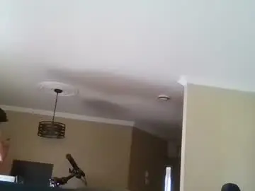 Chaturbate Sex Cam of hunglikecrazyy