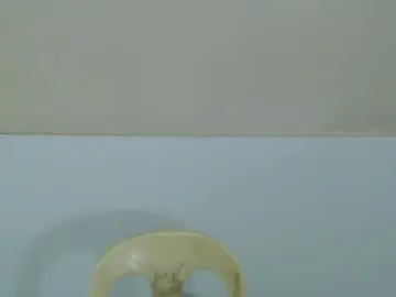 Chaturbate Watch Live Sex Cams of hoelykarina