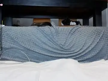 Chaturbate Sex Cam of ardeliacarhart