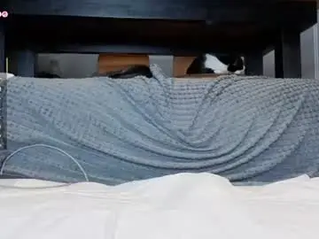 Chaturbate Best Webcam of ardeliacarhart