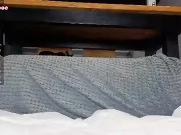 Chaturbate Adult Webcams of ardeliacarhart