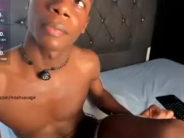Chaturbate Nude Webcam of noah_johes