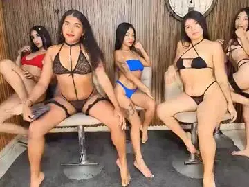 Chaturbate Live Sex Cam of canelasquirtxxx