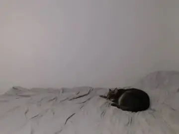 Chaturbate Adult Webcam of holly8875