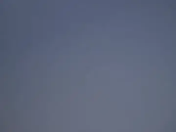 Chaturbate Sex Cam of tashinapetitto