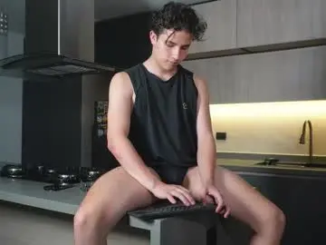 Chaturbate Live Sex of theohawke_