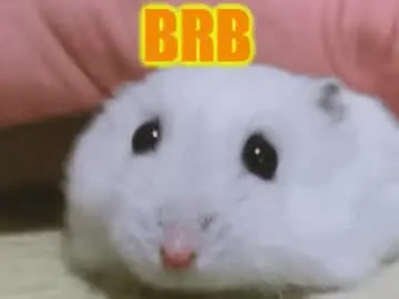 Chaturbate Free Live Porn of flo_eva