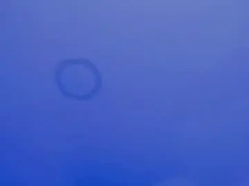 Chaturbate Live Porn of scarlett29_