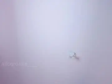 Chaturbate Live Sex Cam of alicerosee___