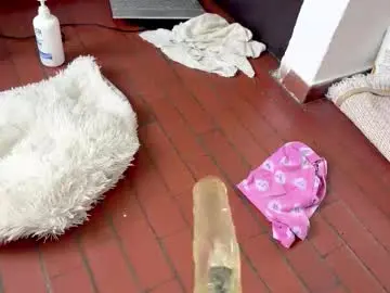 Chaturbate Adult Webcam of xandernaked