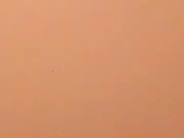 Chaturbate Free Porn Cam of b3cky_