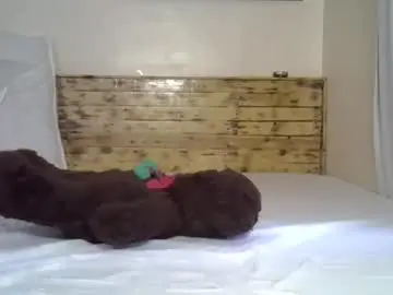 Chaturbate Adult Webcam of splasher_queen