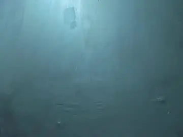 Chaturbate Best Webcam of models_sophia