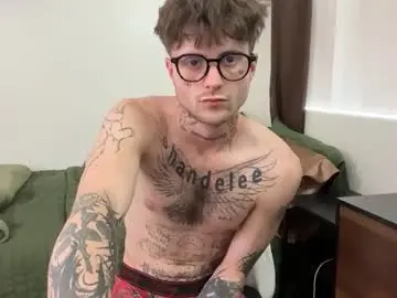 Chaturbate Adult Video Chat of prettyboyszn