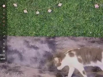 Chaturbate Adult Webcam of katerinnna