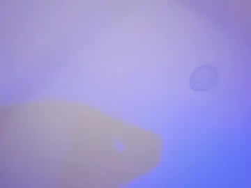 Chaturbate Watch Live Sex Cams of marily_daniela_