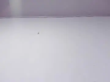 Chaturbate Adult Webcam of nahomyrusell