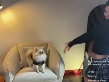 Chaturbate Free Porn Cam of sweet_littleee