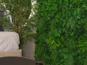 Chaturbate Free Live Porn of willow_hendrix