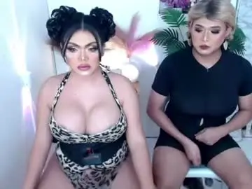 Chaturbate Private Sex Chat of 10incheskinkynastytrans