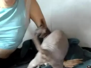 Chaturbate Live Sex Cam of mellisamaxwell