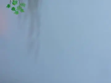 Chaturbate Live Sex of annie_rouse__