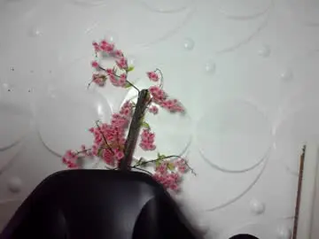 Chaturbate Adult Video Chat of ebonykissxx