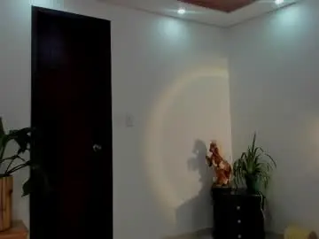 Chaturbate Sex Chat of noahbrawn