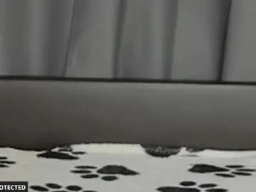 Chaturbate Private Sex Chat of joybarker