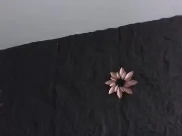 Chaturbate Best live sex cam show of paulo527