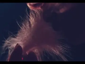 Chaturbate Free Porn Cam of taanni_bc