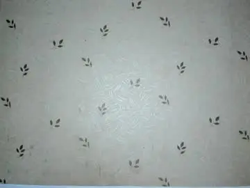 Chaturbate Nude Webcam of nicoledaviss_
