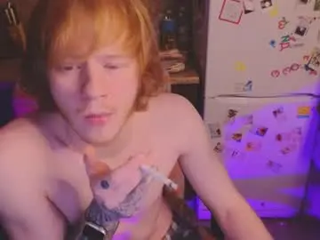 Chaturbate Live Sex of alvin__main