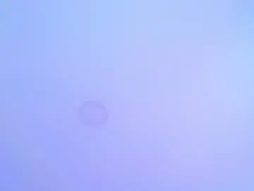 Chaturbate Best live sex cam show of nebus_lak