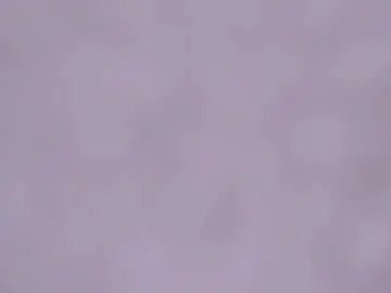 Chaturbate Adult Webcams of _lyna