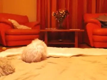 Chaturbate Best Webcam of andrasweetie