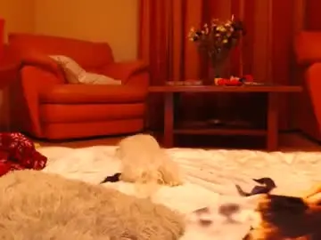 Chaturbate Live Sex Cam of andrasweetie