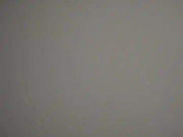 Chaturbate Live Porn of forestproject
