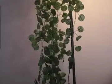 Chaturbate Best live sex cam show of forestproject