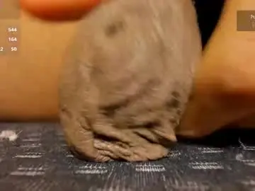 Chaturbate Live Sex of charlottelaurent