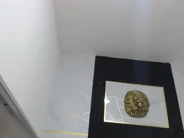 Chaturbate Adult Webcams of jordanandandrew